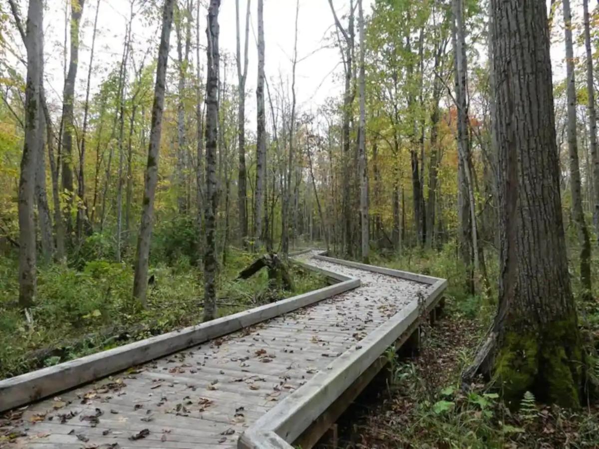 Pet Friendly Condos At Friday Harbour Innisfil Экстерьер фото