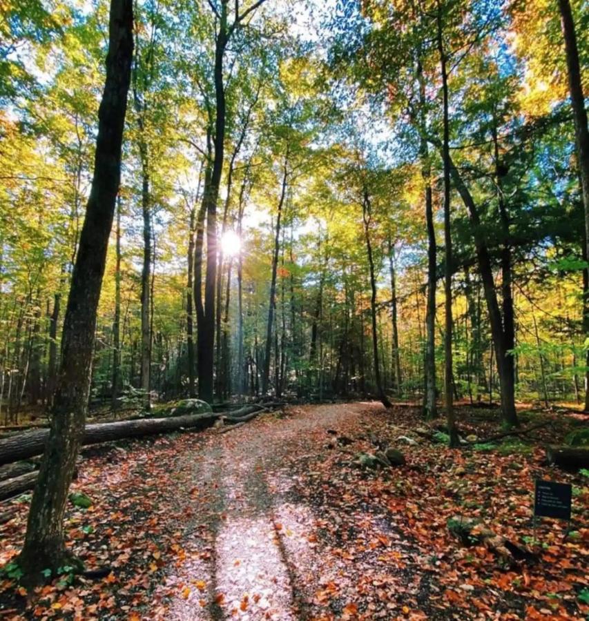 Pet Friendly Condos At Friday Harbour Innisfil Экстерьер фото